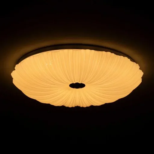LED wall/ceiling light SHINING CORAL 24W with light temperature change + sleep timer + remote control Ø490 mm DIM