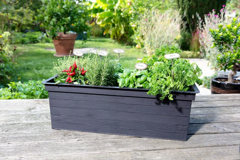 Balcony raised bed Urban Set including cultivation hood