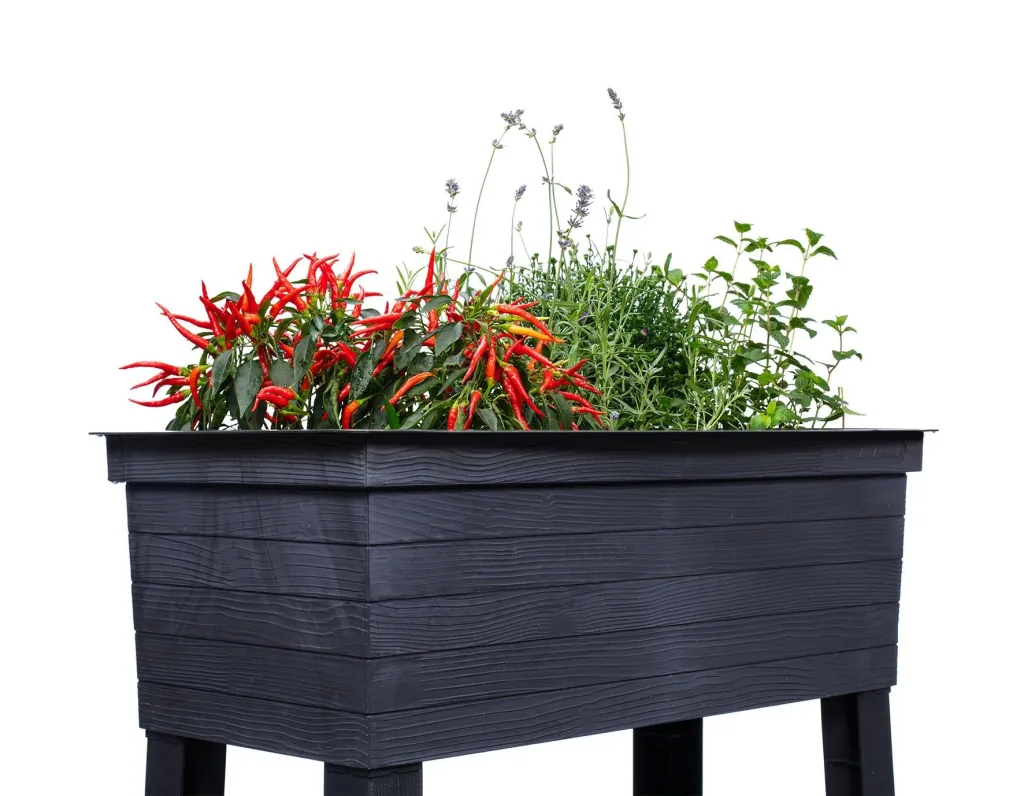 Balcony raised bed Urban Set including cultivation hood
