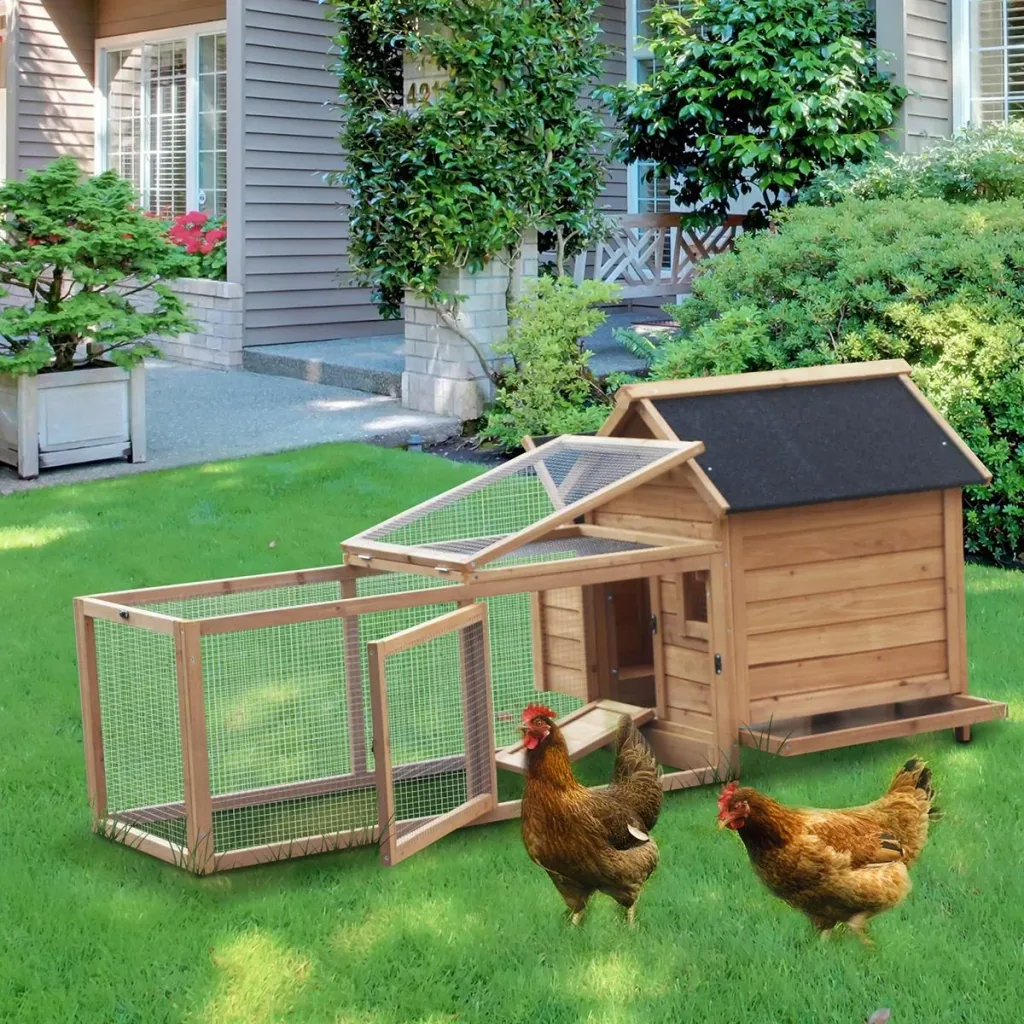 Chicken coop with nesting box natural