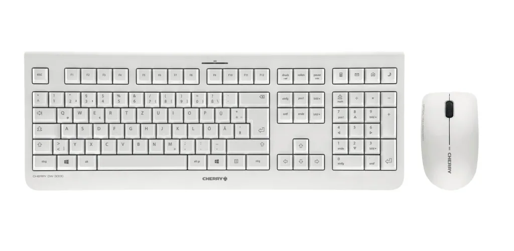 Wireless keyboard and mouse set DW 3000 gray