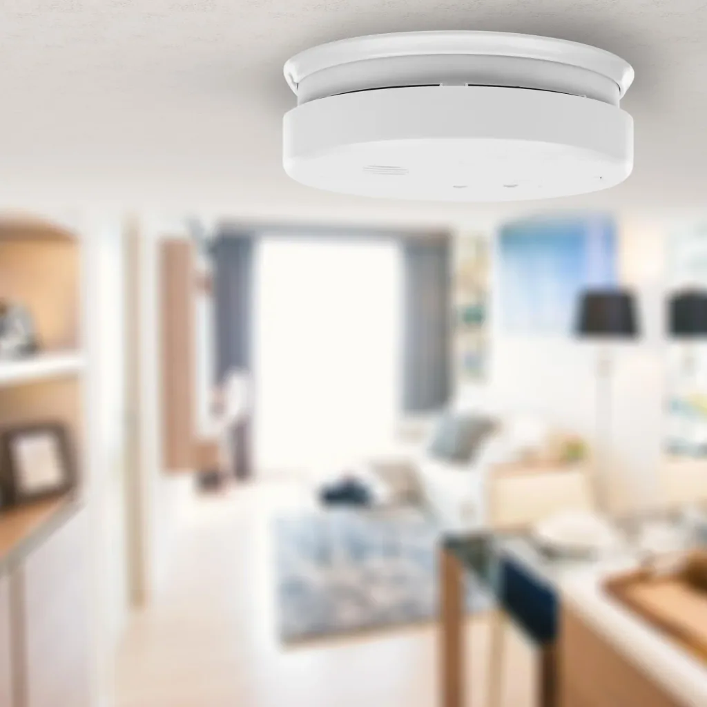 Smoke detector with 230V power supply