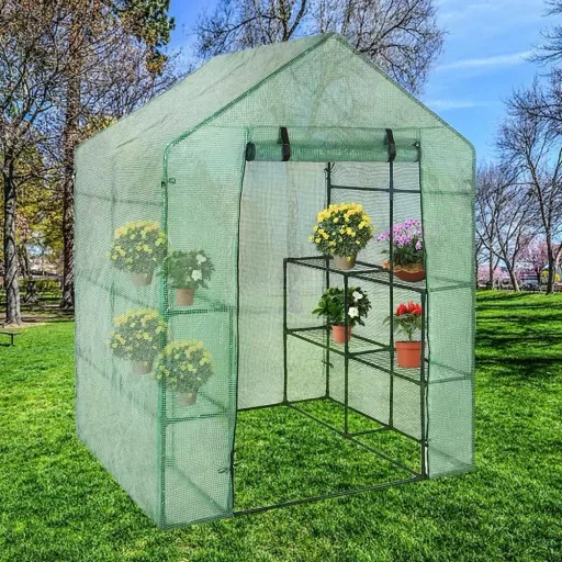 Greenhouse - PE - 143x143x195 cm