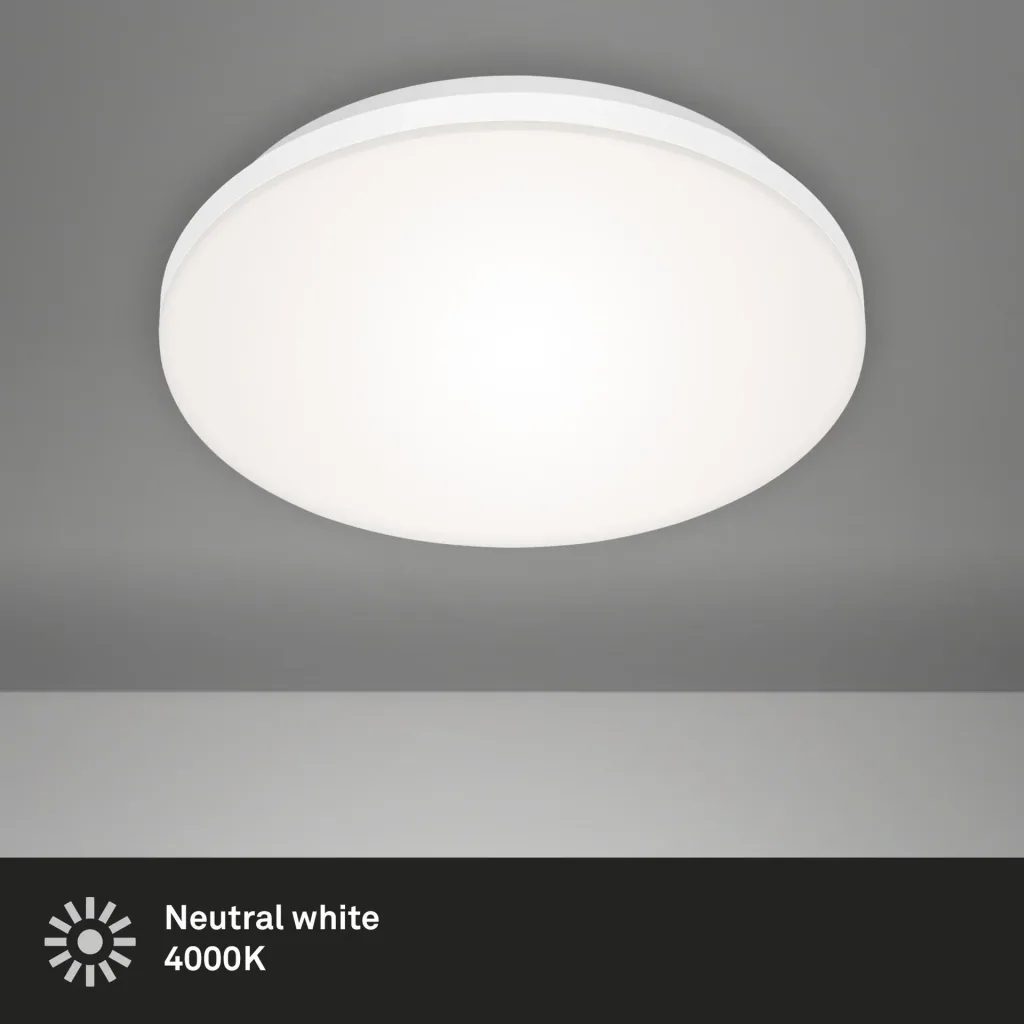 Frameless LED panel, round, Ø 30, 12 watts, white