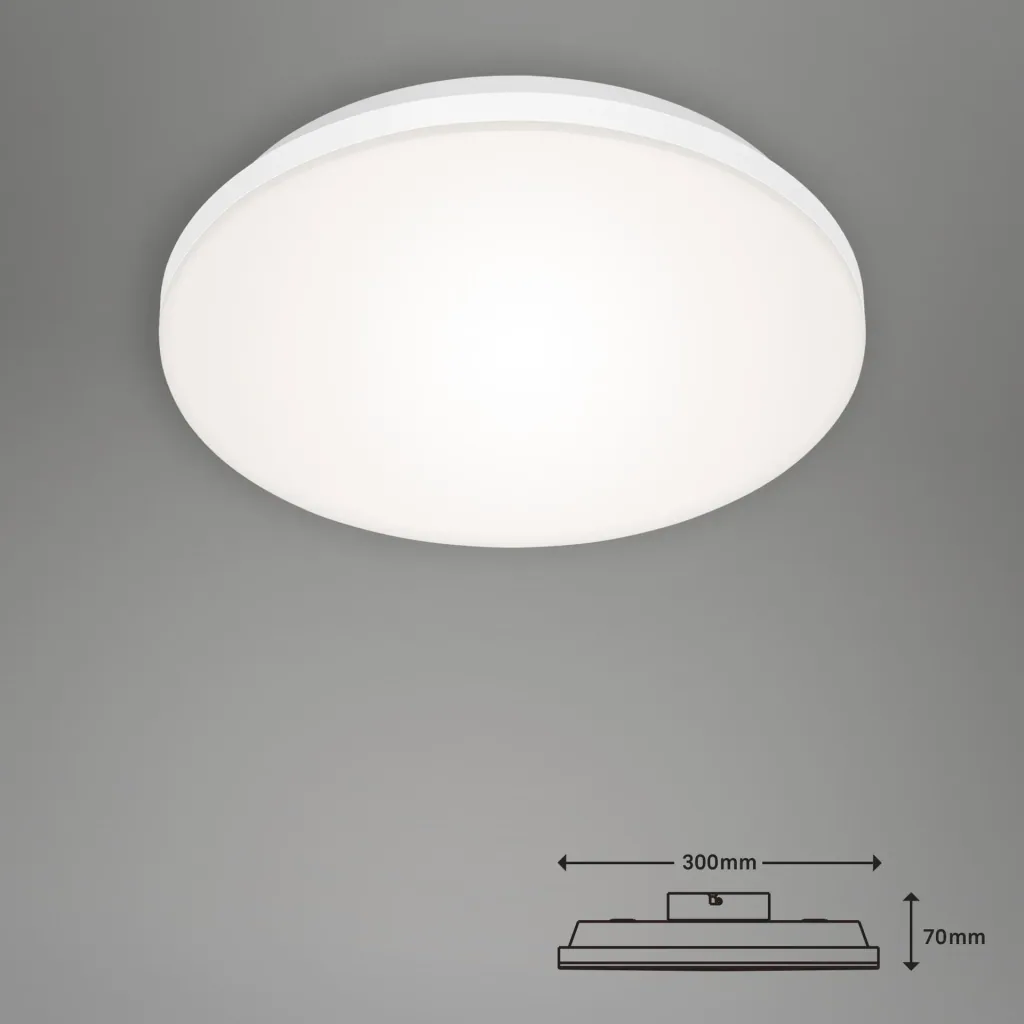 Frameless LED panel, round, Ø 30, 12 watts, white