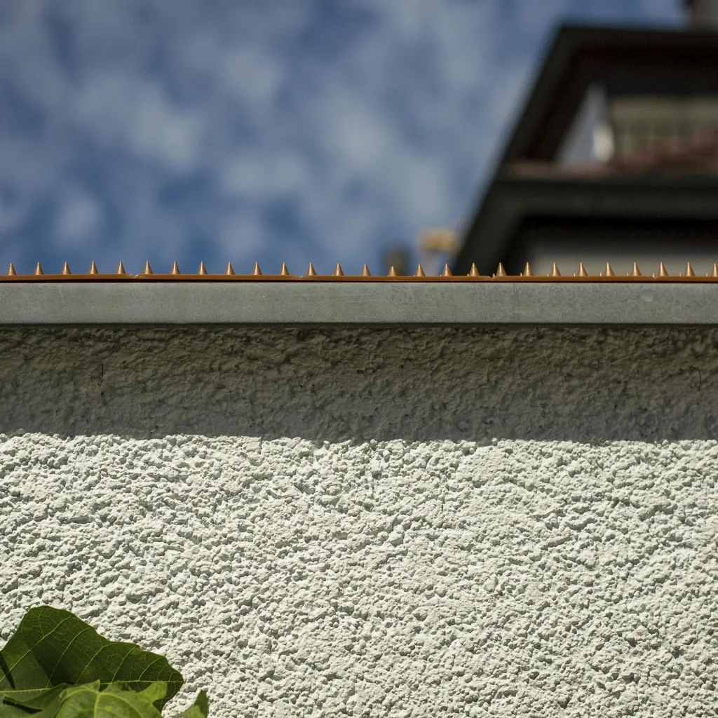 Thorn strip 2 meters