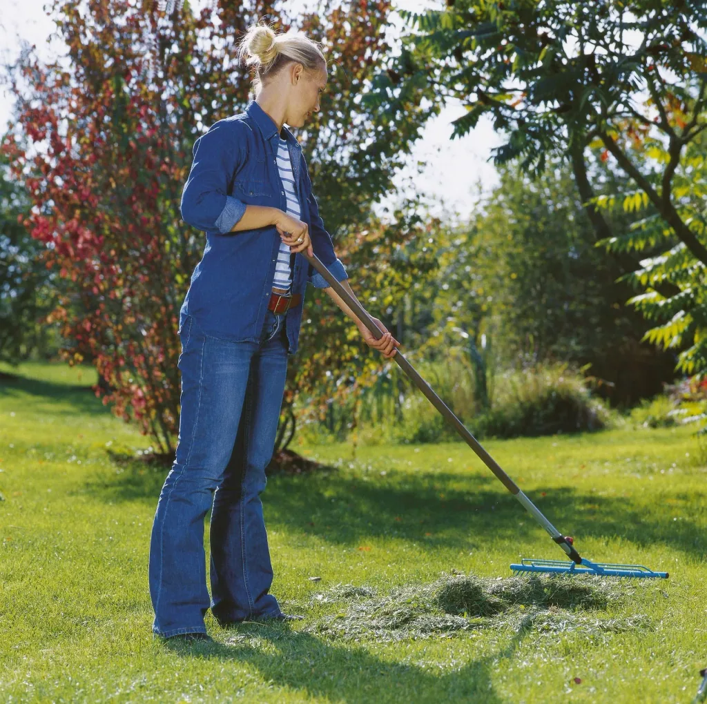Combisystem lawn rake, 60 cm wide