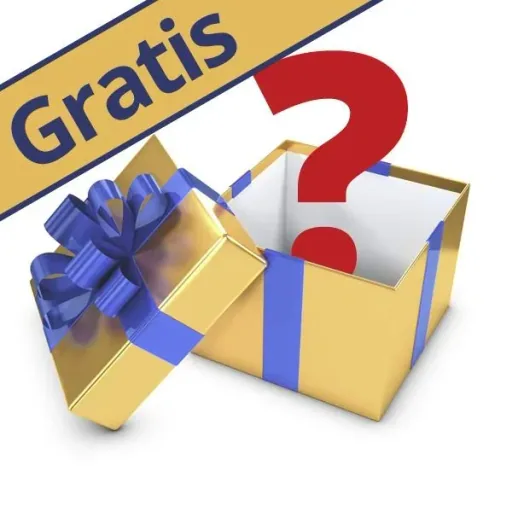 Bag with RFID protection *Free*
