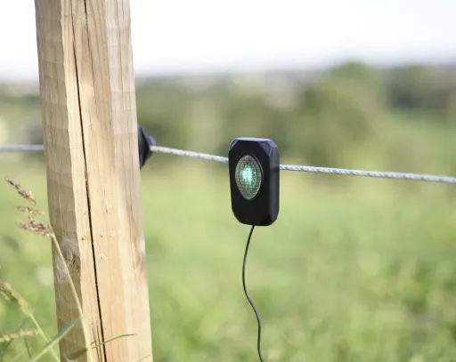 Pulse Flash, black, with green LED