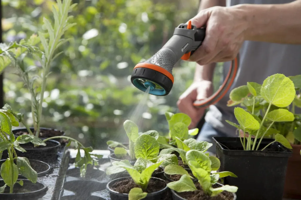 Comfort shower for sensitive plants