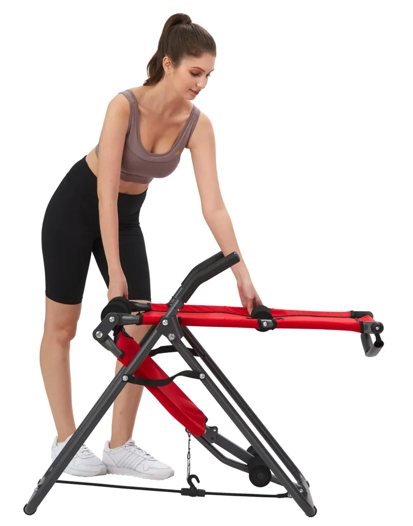 Inversionstrainer Backlounge, 2in1