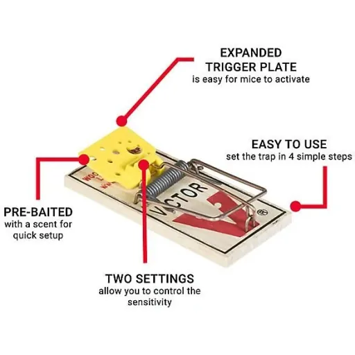 Victor Mousetrap - Wood