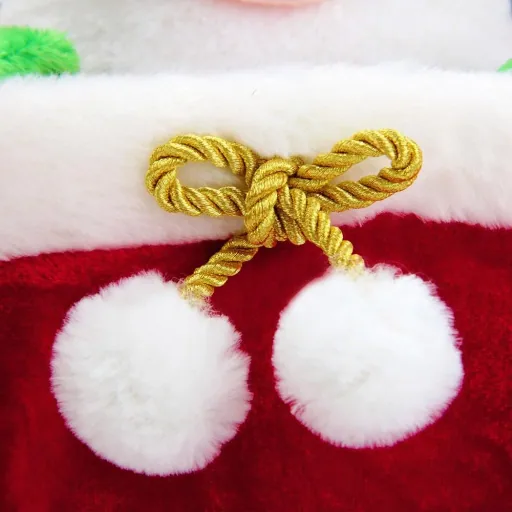 The Singing Santa Claus