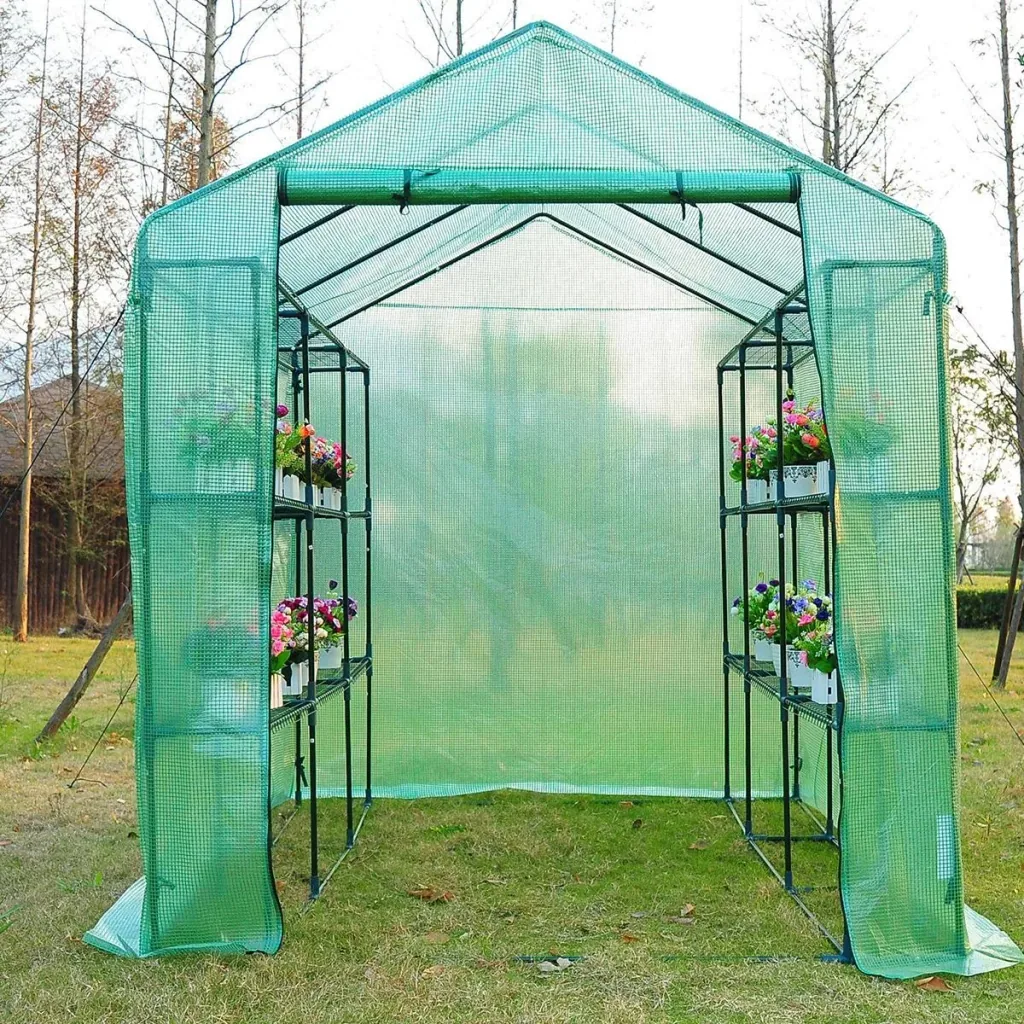 Greenhouse with shelves green