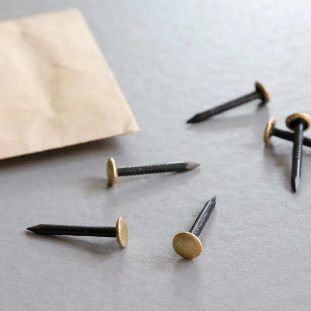 Picture nail with brass head Home Classic assortment bag 100 pieces