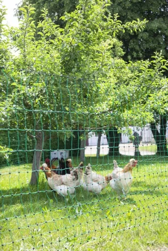 Poultry net 106 cm with double spike, 25 m, non-electrifiable