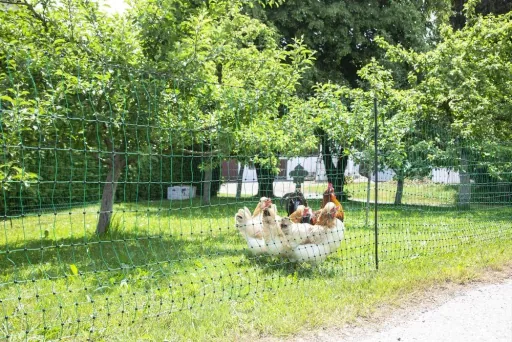 Poultry net 106 cm with double spike, 25 m, non-electrifiable