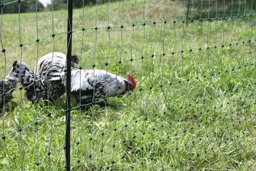 Poultry net 106 cm with double spike, 25 m, non-electrifiable