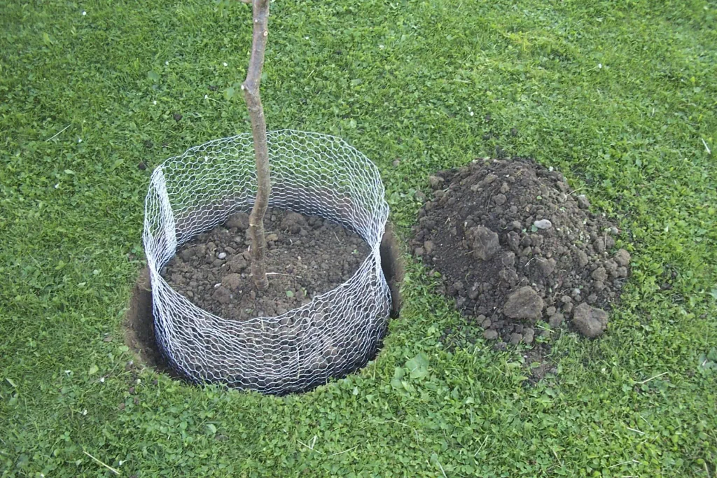 Vole basket large