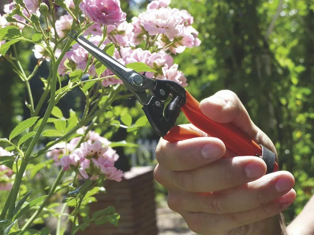 "Wunderschere" - de allesnijder voor huis en tuin