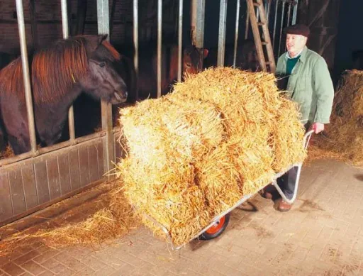 Aluminium tweewielige balenwagen, draagvermogen 100 kg