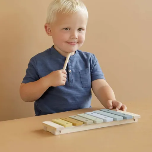 Little Dutch Kinder Xylofoon blauw