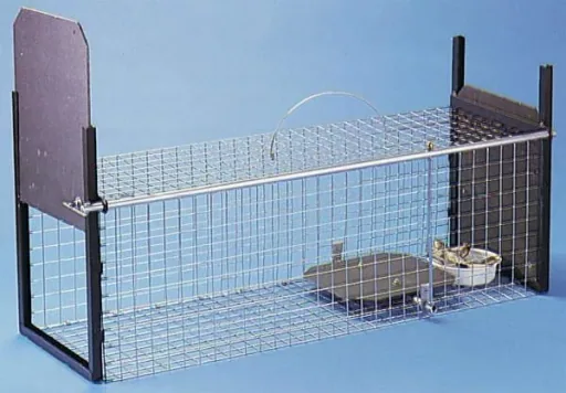 Cat trap and transfer basket set
