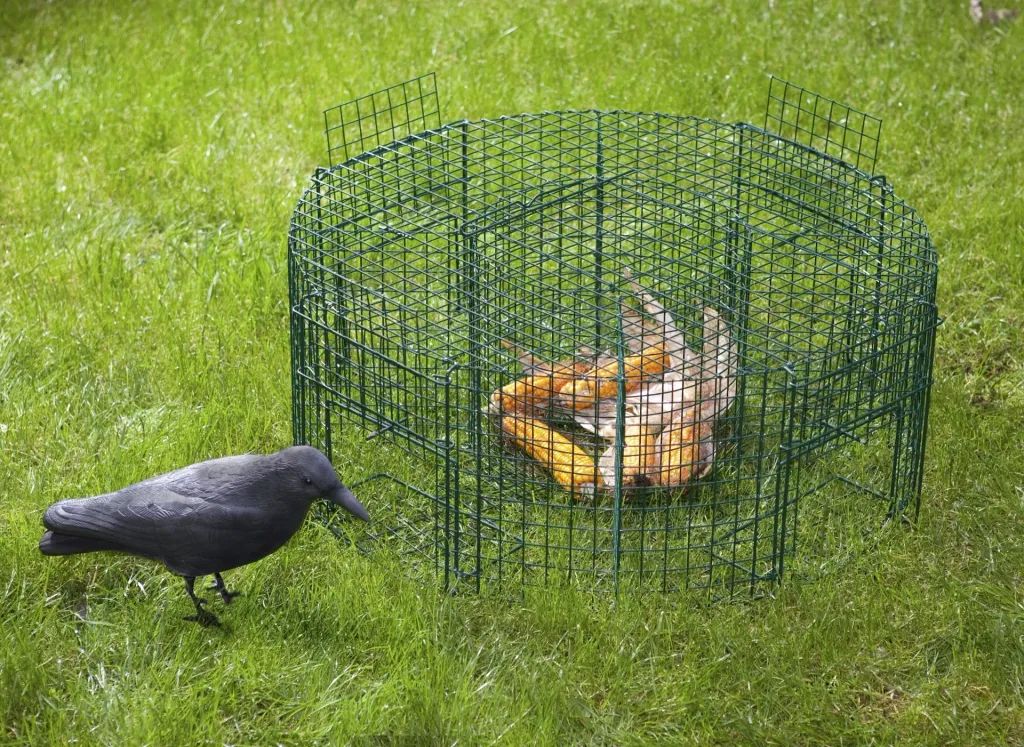 Universal round trap