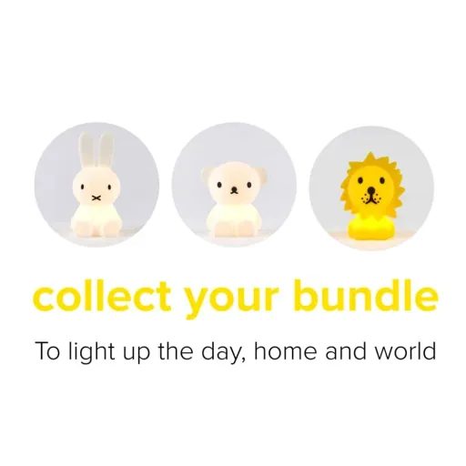 Boris mini nachtlampje "Bundle of Lights" van Mr Maria