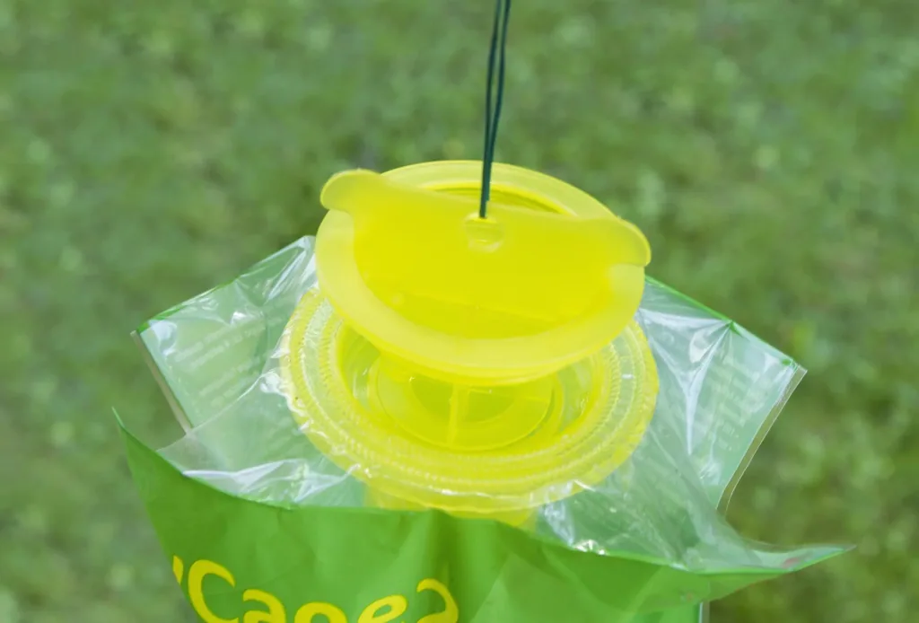 Fruit fly trap FlyCage2