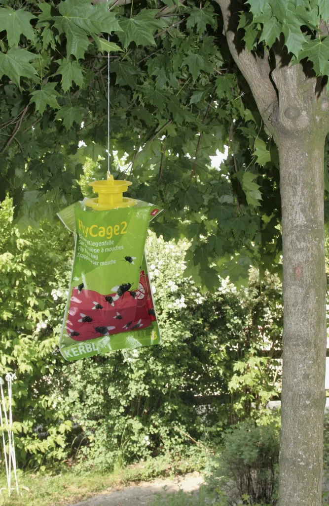 Fruit fly trap FlyCage2