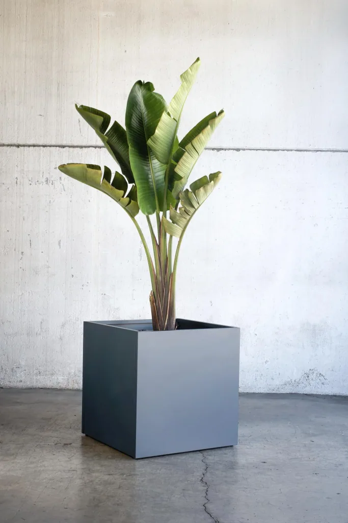 Herstera Garden Plantenbak Cube 50 × 50 × 50 cm Antraciet – vierkante stalen plantenbak