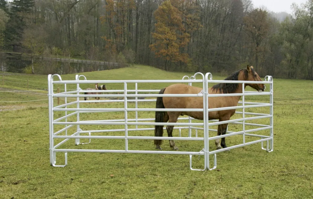 Pasture panel - fence element 2.4 m length, 1.7 m height