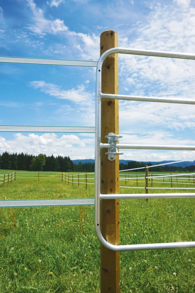 Locking option for pasture gates