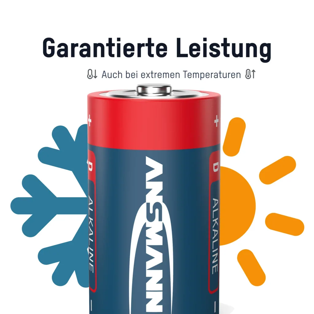 Alkaline batterij Mono D - 2 stuks