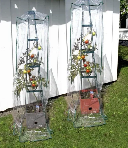 Planttoren "Maxitom" met latwerk en irrigatie
