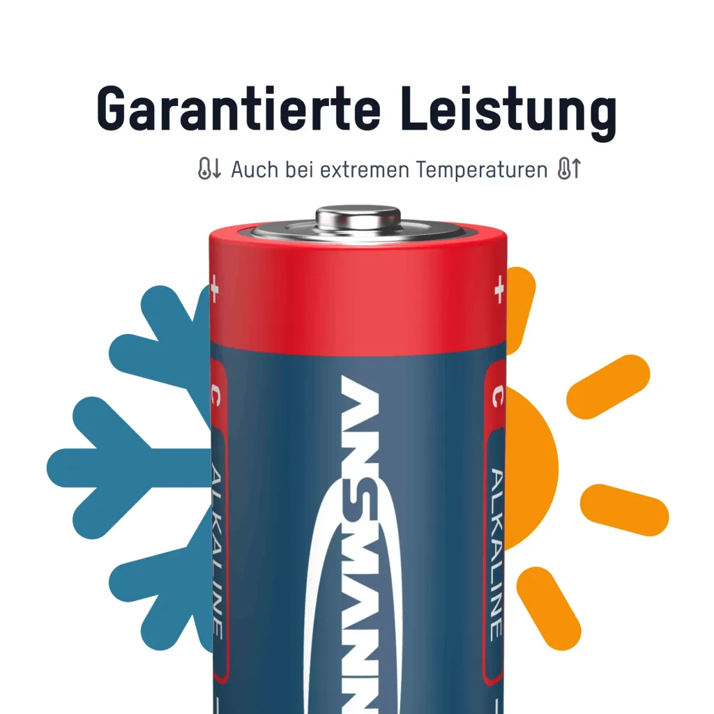 Alkaline batterijen Baby C – 2 stuks