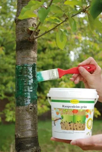 Rupsenlijm 5 kg – de ideale bescherming voor uw bomen