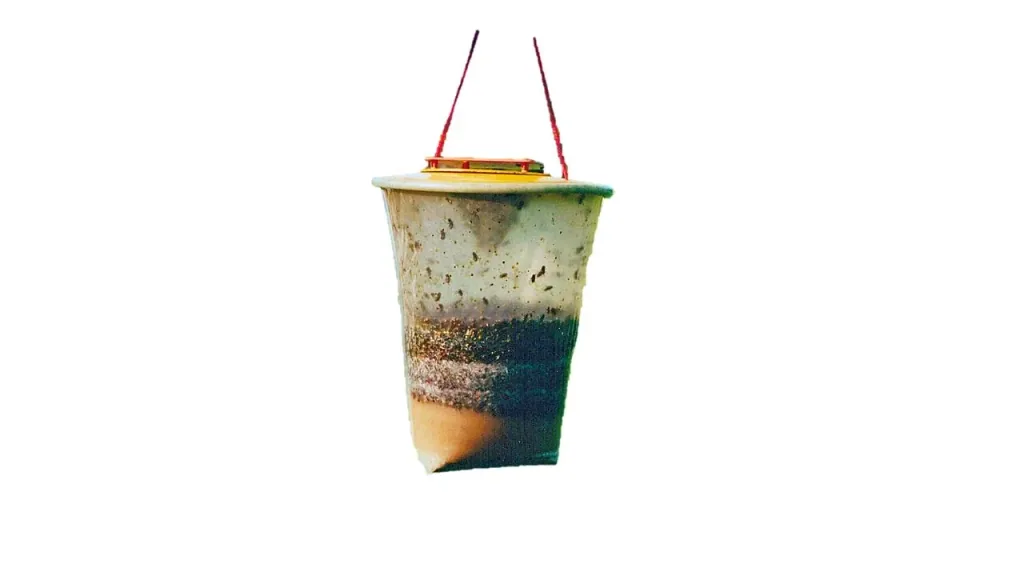 Fly trap, size L, 3 l - disposable trap