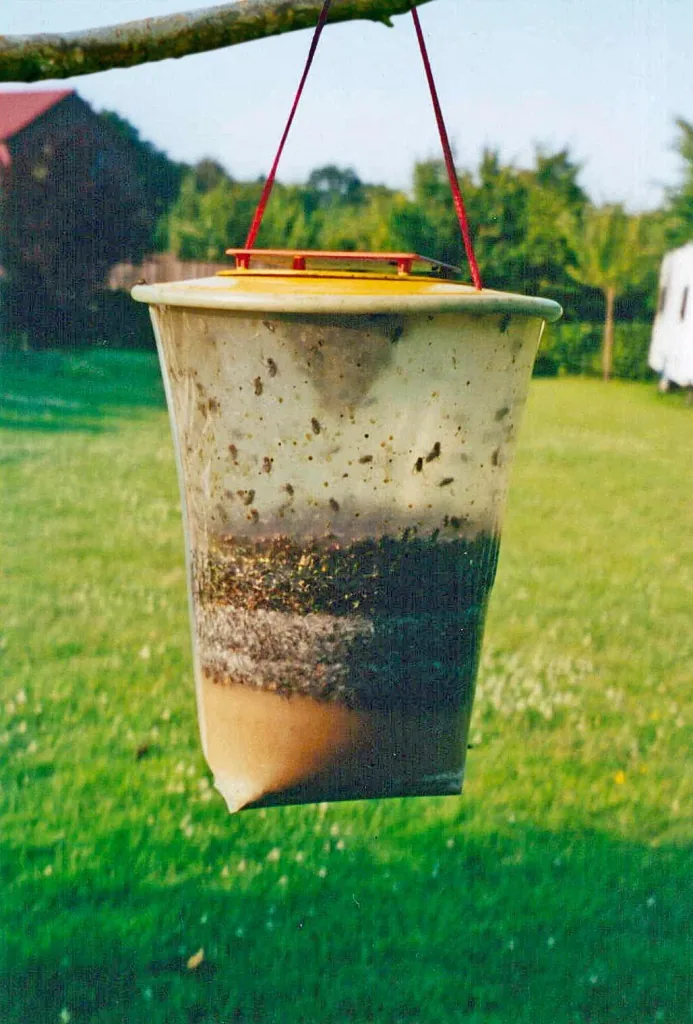 Fly trap, size L, 3 l - disposable trap