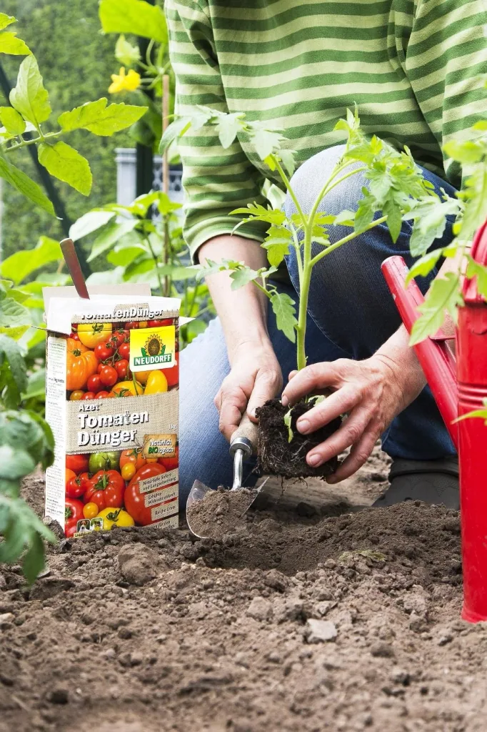 Azet Tomato Dung - 2.5 kg