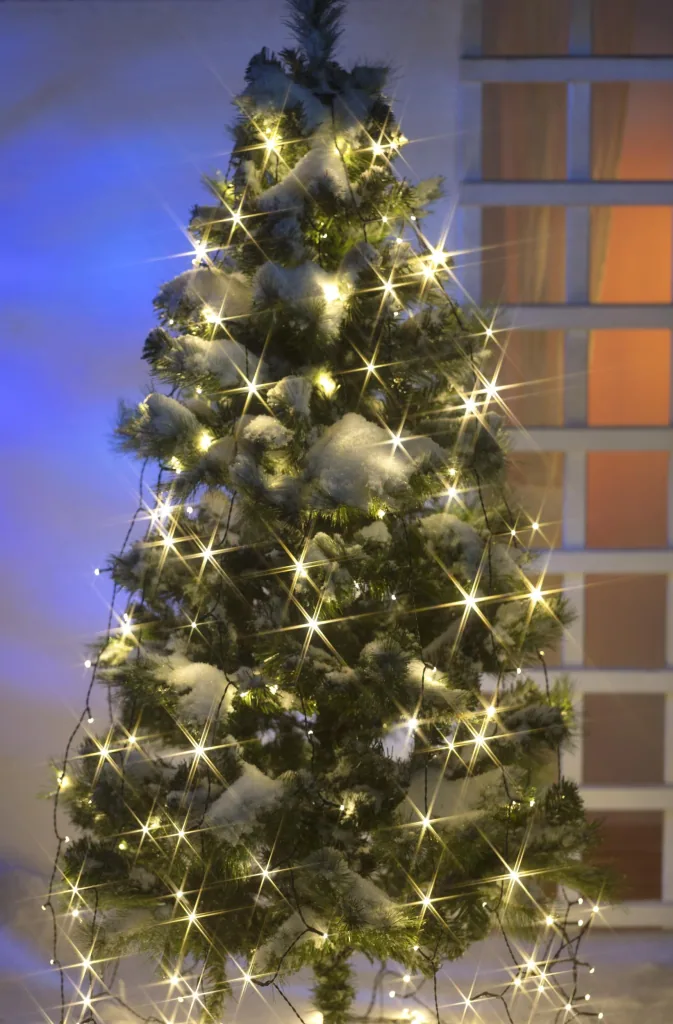 String lights with 160 LEDs - 8 strands of 2m each