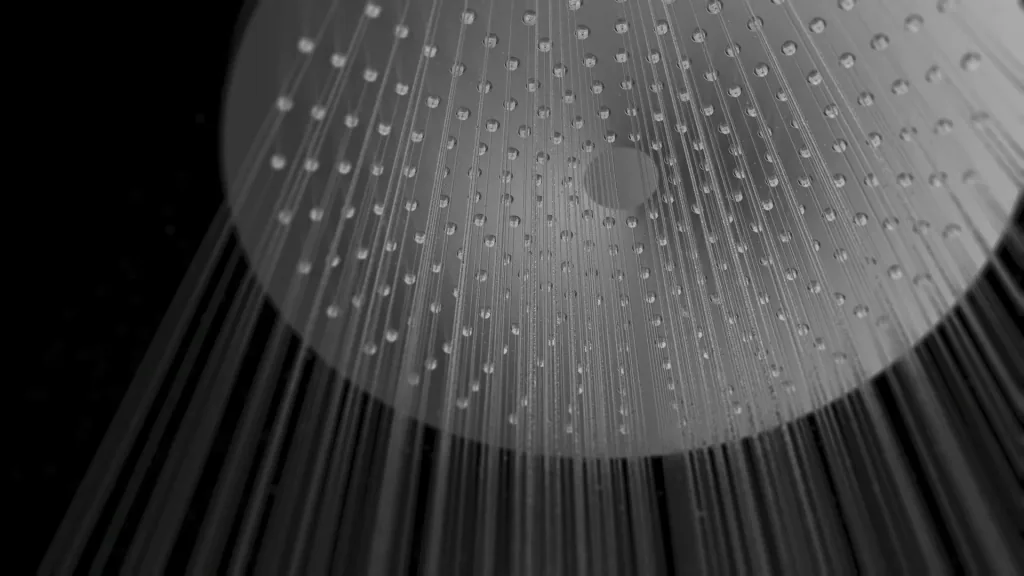 Rain shower head Ultimate Shower Black/Grey, Ø 25 cm