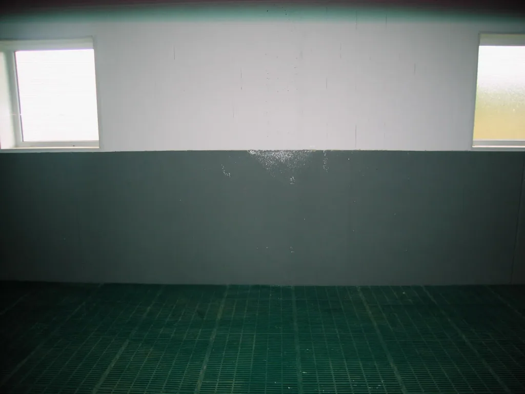 Silo wall & dirt base coating 2 in 1, green