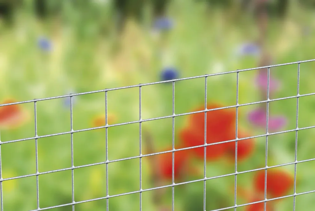 Galvanized welding grid, 50 cm x 5 m, 19 x 19 mm, 1 mm