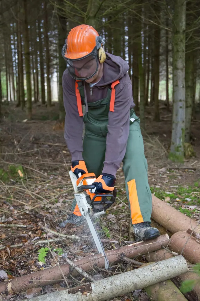 Forester chainsaw gloves size 9/L