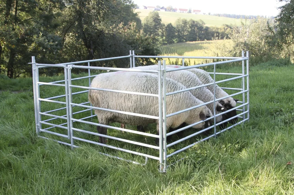 Sheep panel 1.83 meters with gate