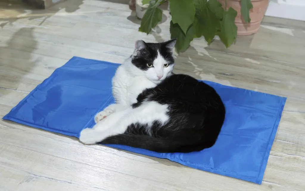 Kühlmatte "PET" 90 x 50 cm