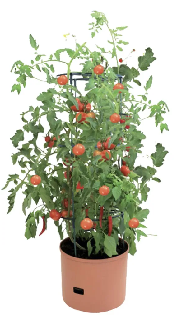 Plant tower "Maxitom Jumbo", terracotta, 1 piece