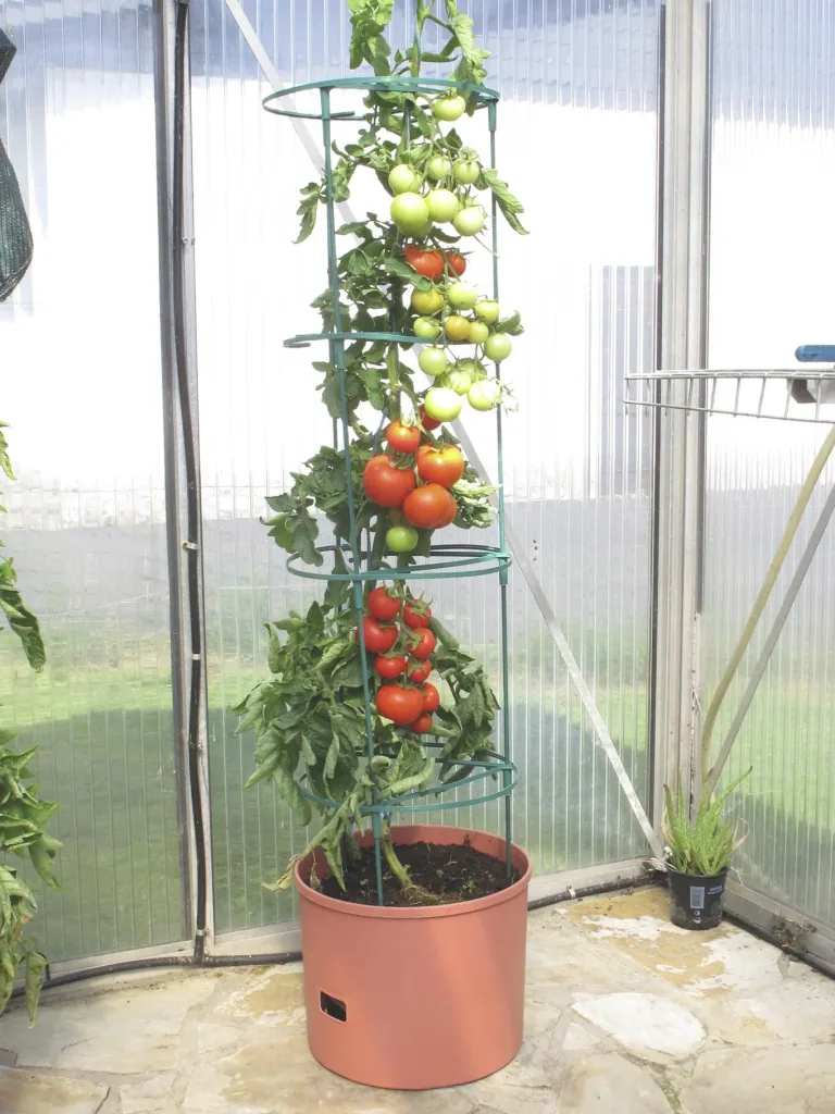 Plant tower "Maxitom Jumbo", terracotta, 1 piece
